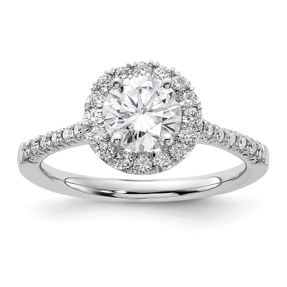 14k White Gold Halo (Holds 1 carat () Round Center) 1/3 carat Diamond Semi-mount Engagement Ring