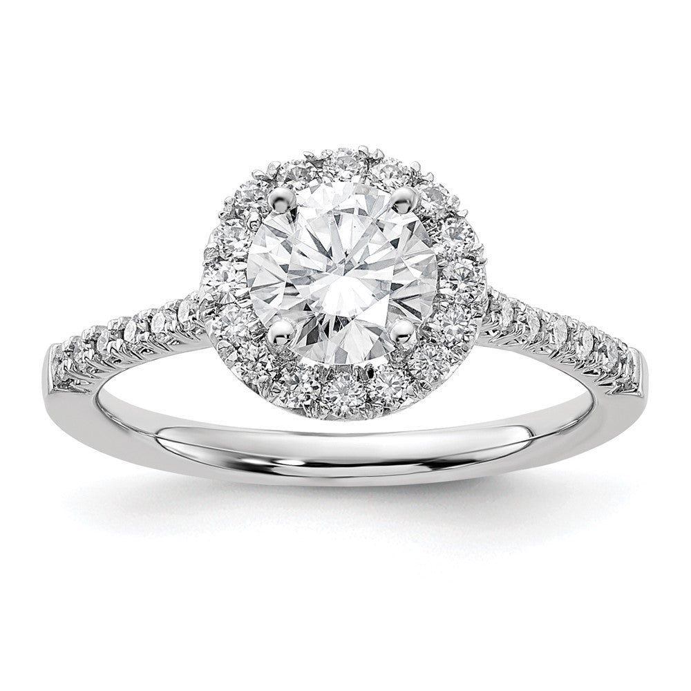 14k White Gold Halo (Holds 1 carat () Round Center) 1/3 carat Diamond Semi-mount Engagement Ring