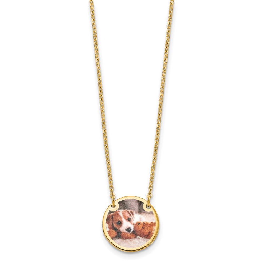 Sterling Silver/Gold-plated Small Picture Jewelry Disc Necklace