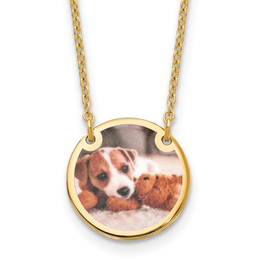 Sterling Silver/Gold-plated Small Picture Jewelry Disc Necklace