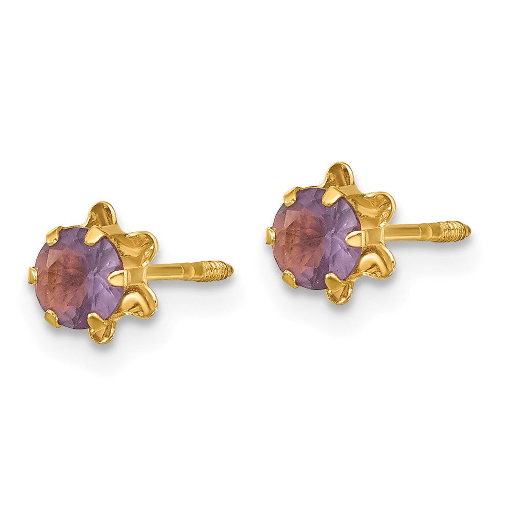 14k Madi K Round CZ February Birthstone Screwback Post Earrings