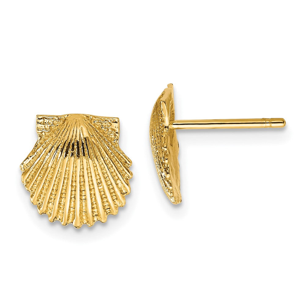 14K Scallop Shell Post Earrings