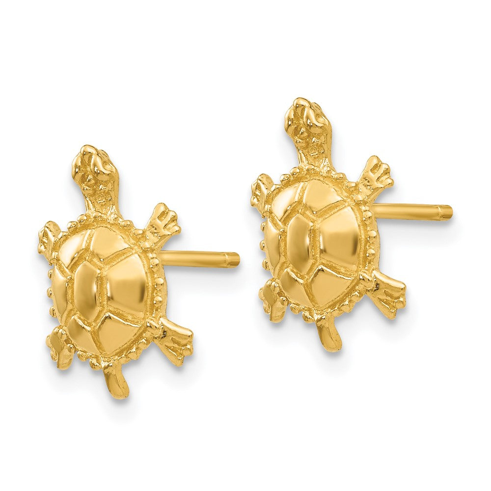 14k Polished Turtle Post Earrings