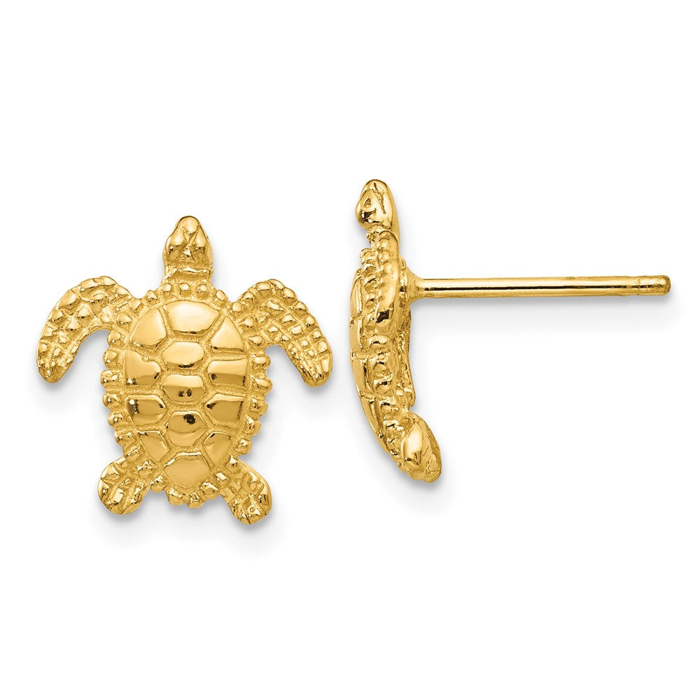 14k Sea Turtle Post Earring