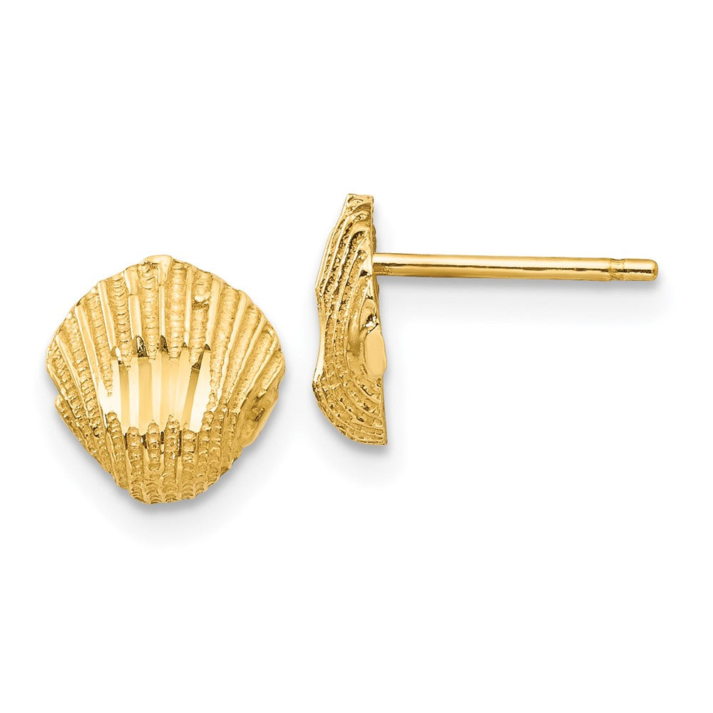 14K Diamond-cut Shell Earrings