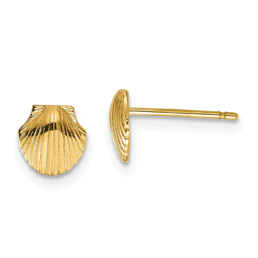 14k Mini Scallop Shell Post Earrings