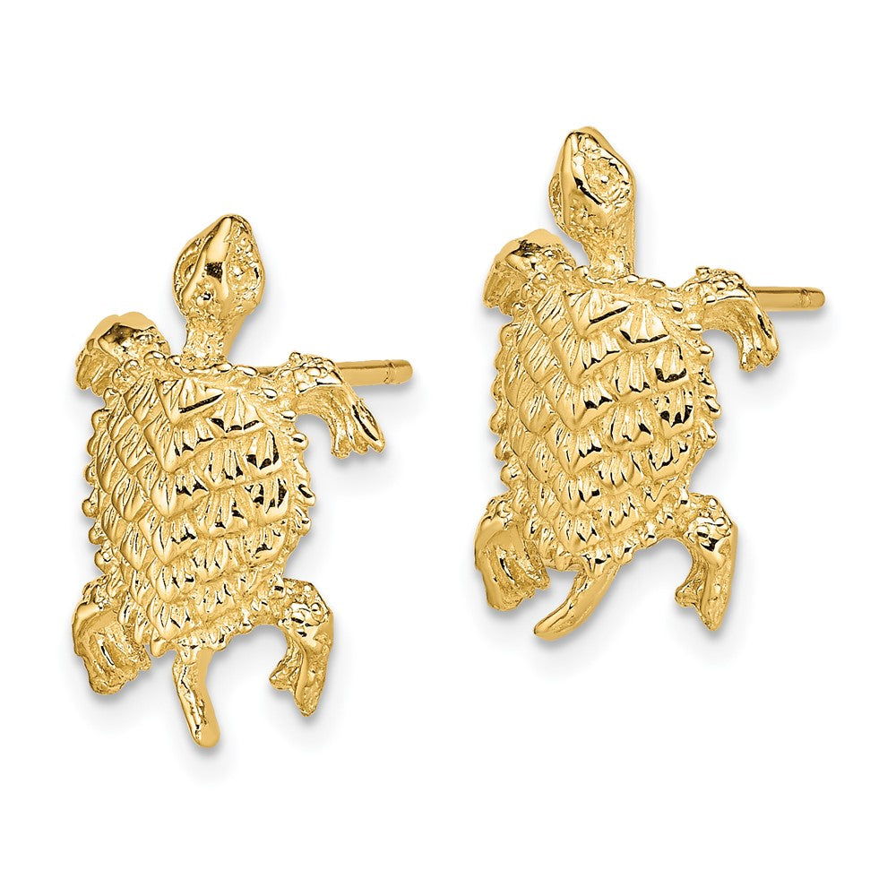 14K Land Turtle Textured Post Earrings