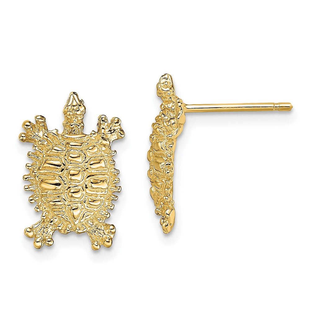 14K Land Turtle Post Earrings