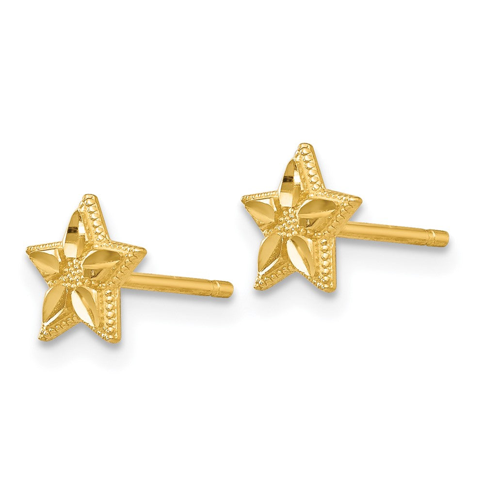 14k Polished Diamond-cut Star Post Earrings