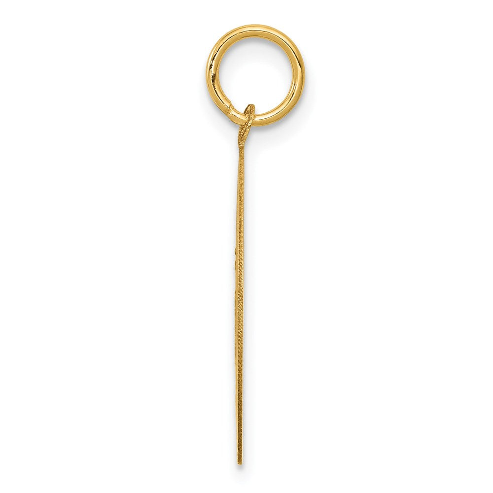 14k BEAGLE Engravable Disc Dog Charm