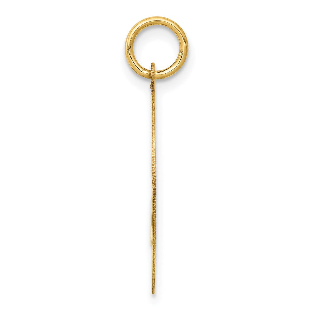 14k YORKSHIRE TERRIER Engravable Disc Dog Charm