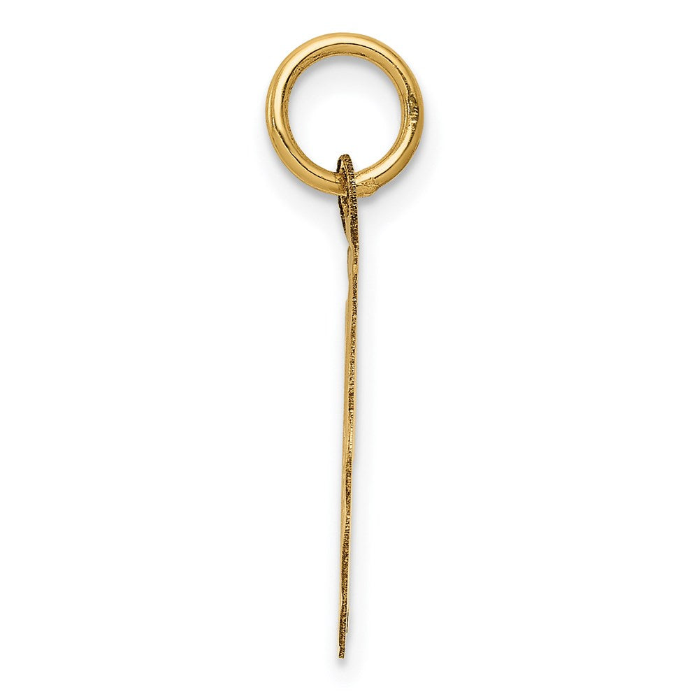 14K 5th ANNIVERSARY Engravable Disc Charm