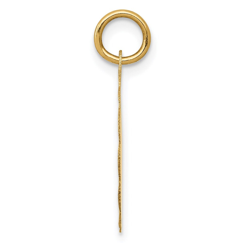 14K 10th ANNIVERSARY Engravable Disc Charm