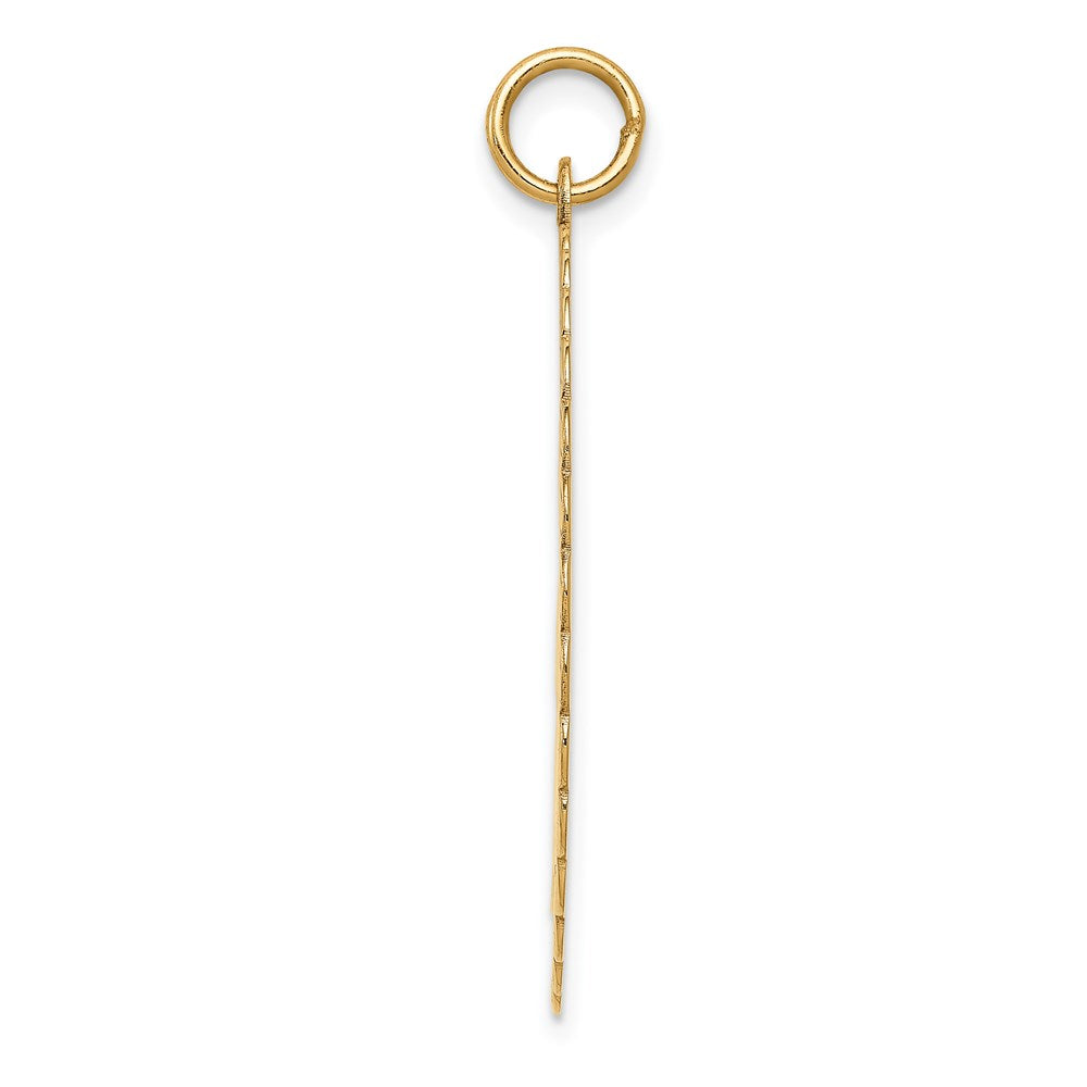 14K 50th ANNIVERSARY Engravable Disc Charm