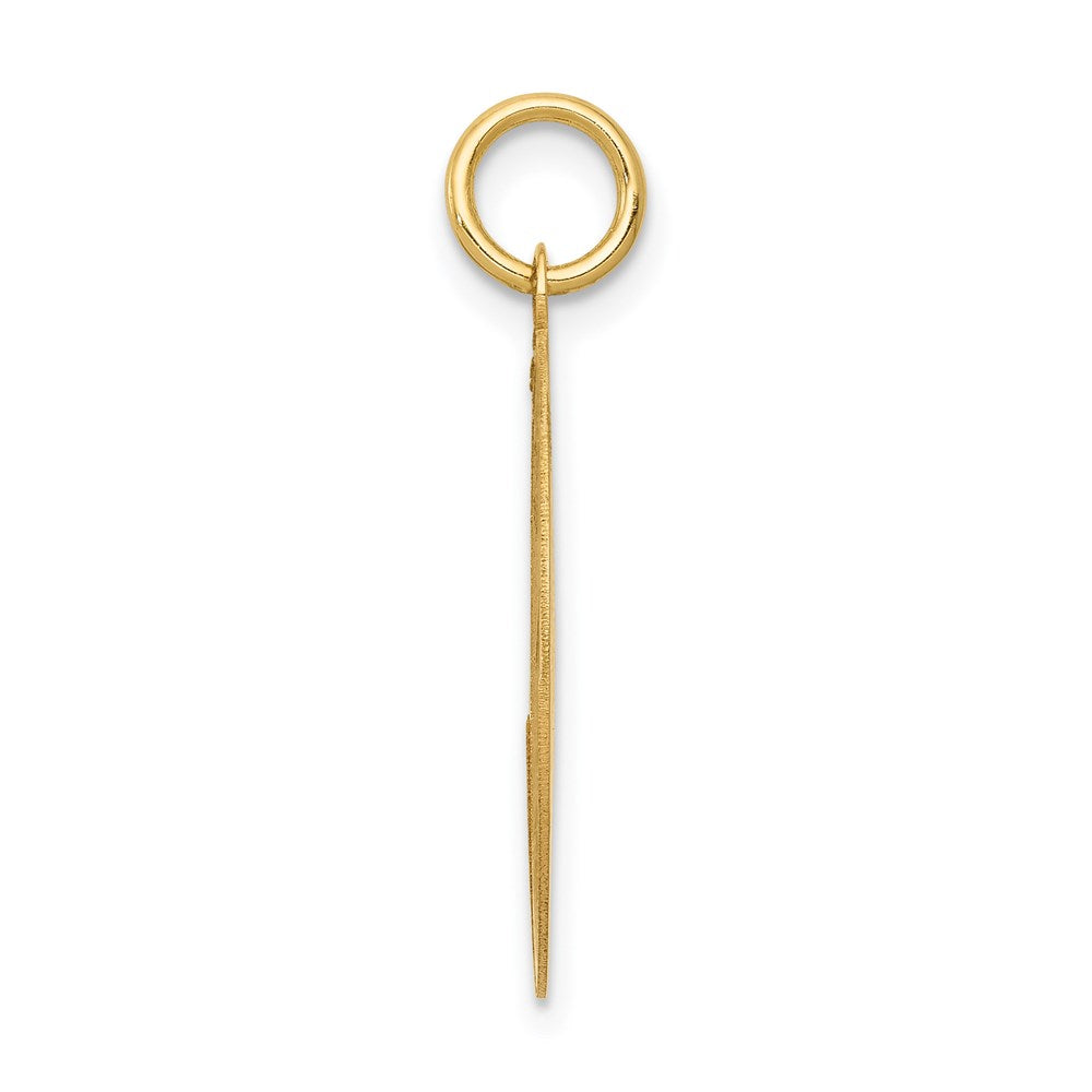 14k LABRADOR RETRIEVER Engravable Disc Dog Charm