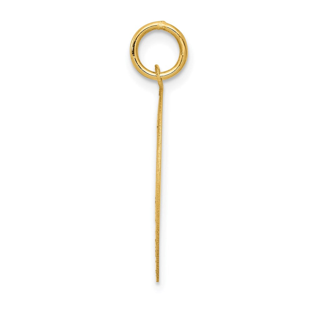 14k PUG Engravable Disc Dog Charm