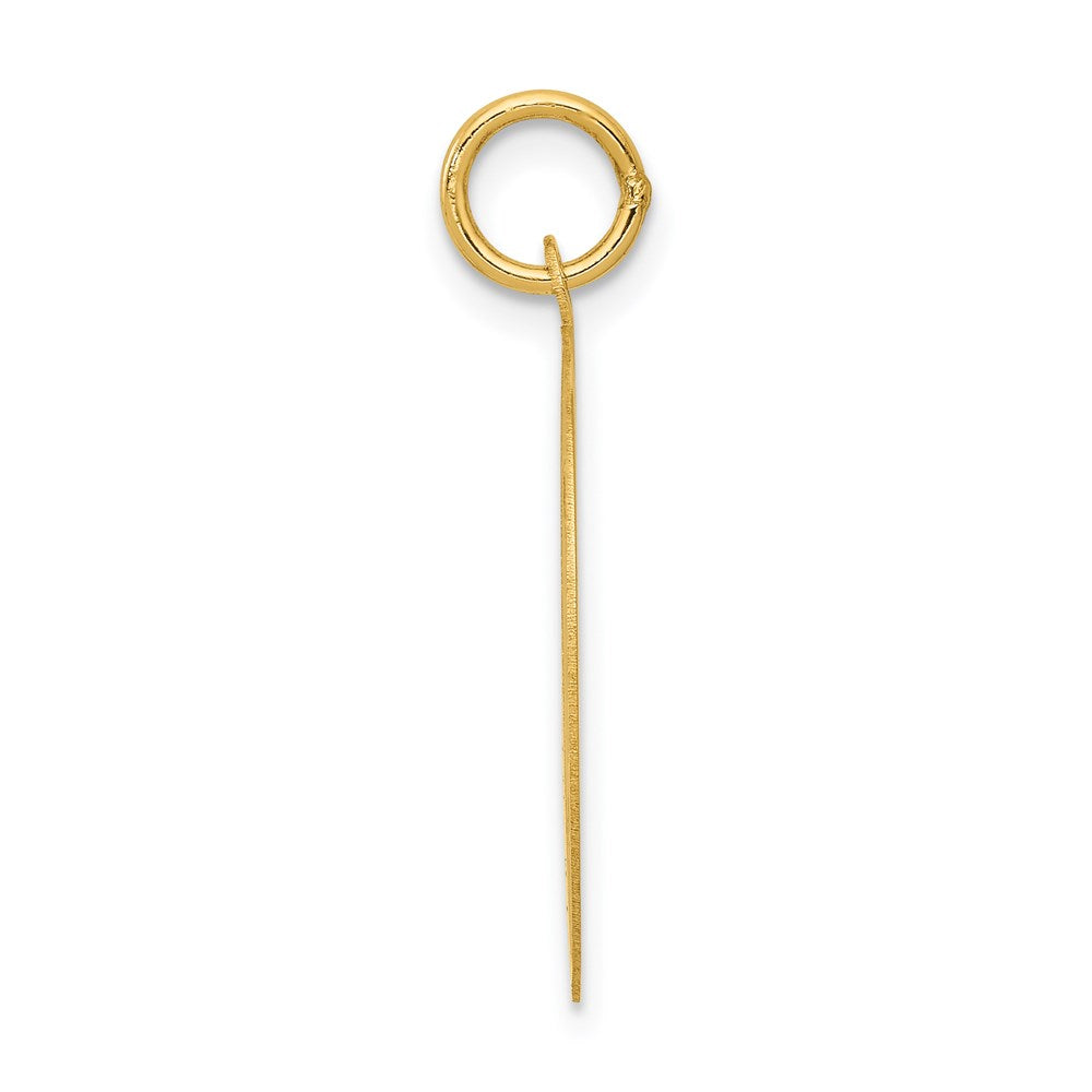 14k Shih Tzu Disc Charm