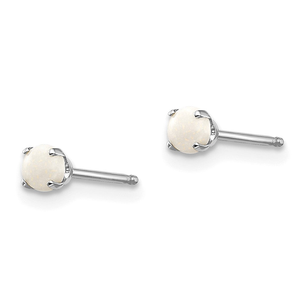 14k White Gold Opal Stud Earrings