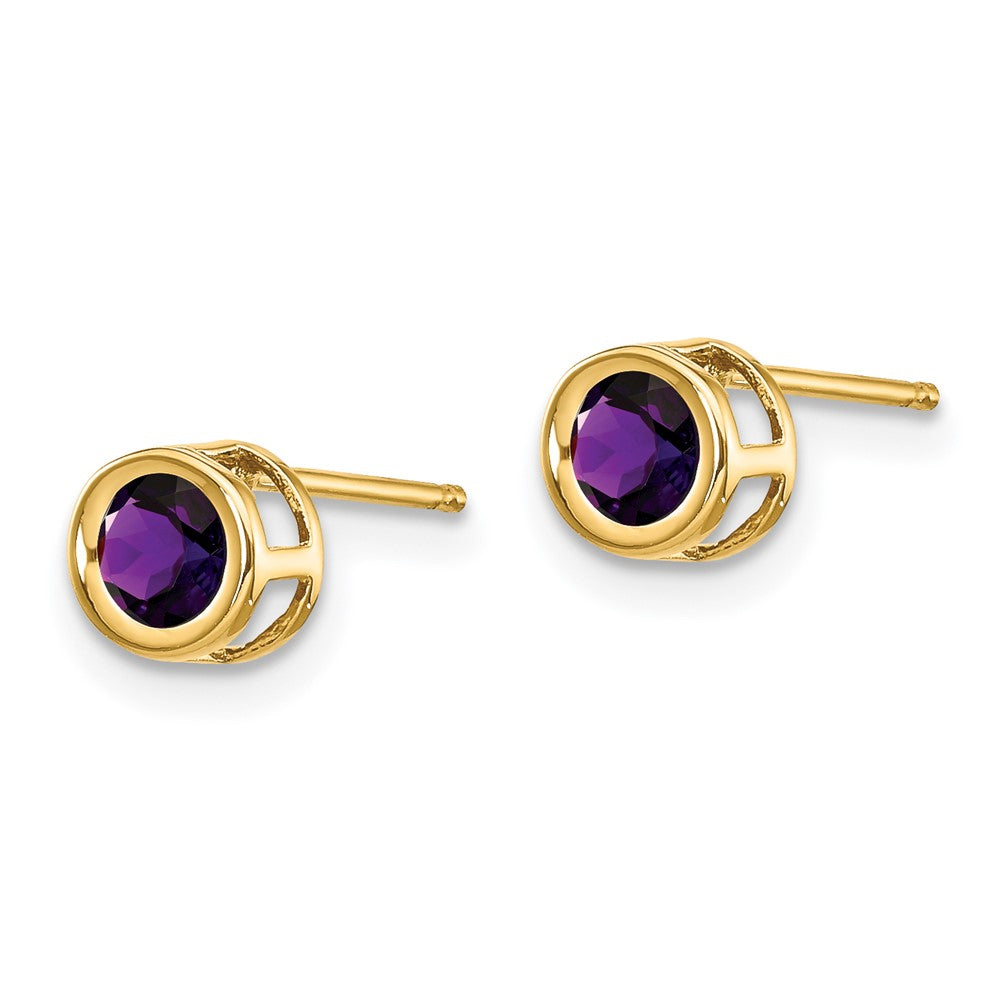 14k Round Bezel February/Amethyst Post Earrings