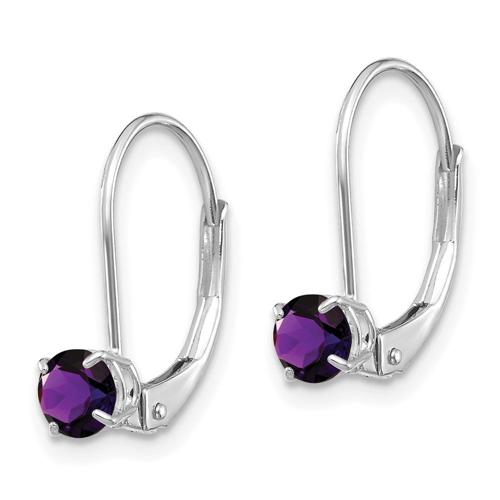 14k White Gold Round February/Amethyst Leverback Earrings