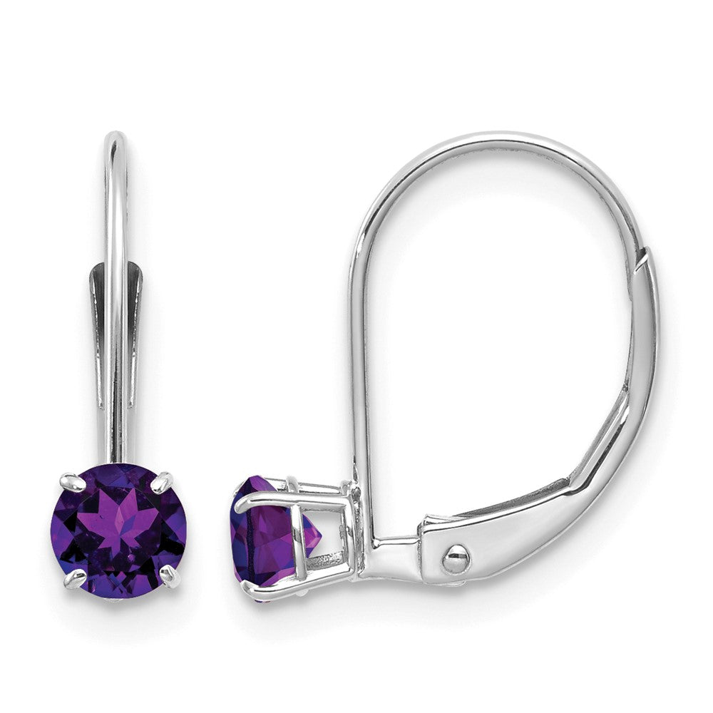 14k White Gold Round February/Amethyst Leverback Earrings