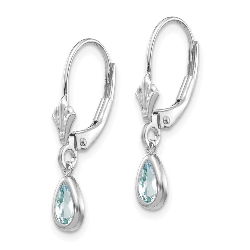 14k White Gold 6x Aquamarine/March Earrings