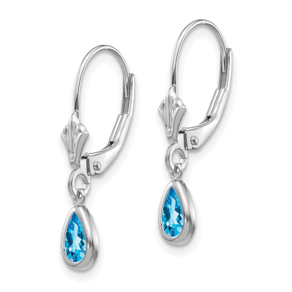 14k White Gold 6x Blue Topaz/December Earrings
