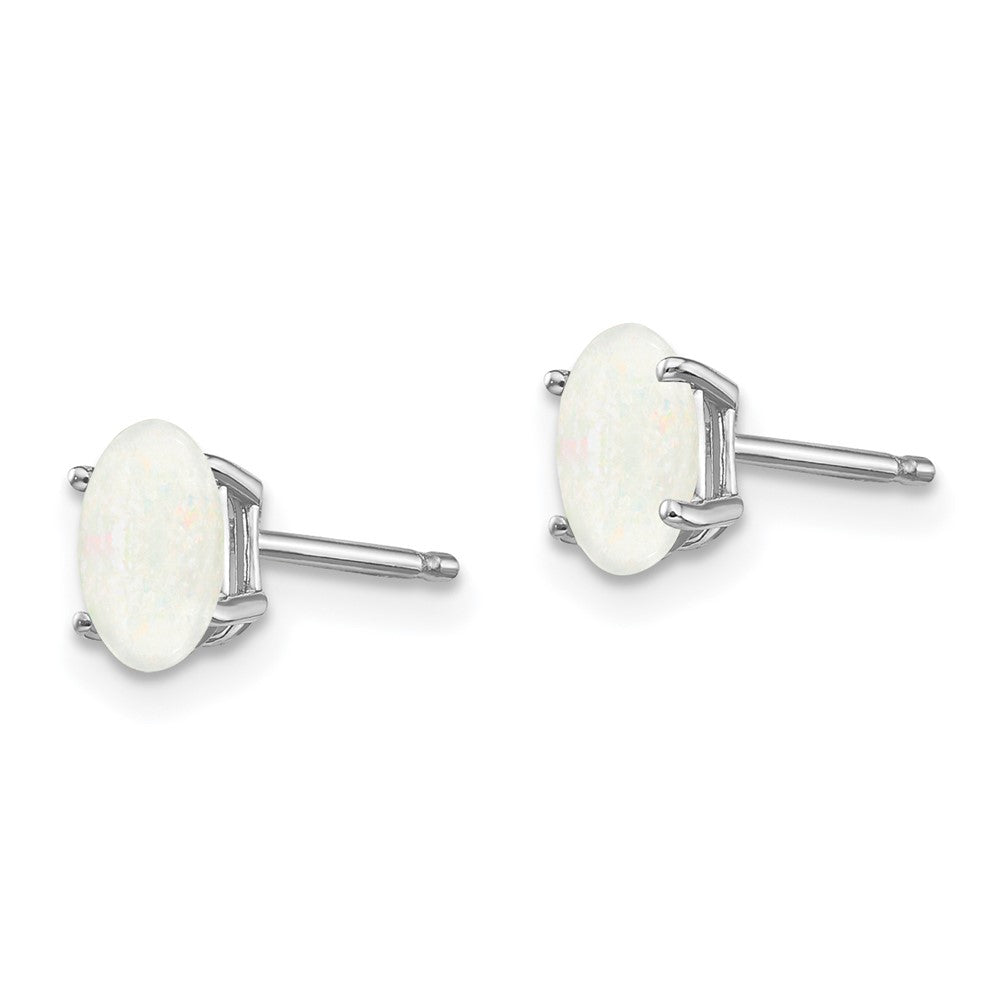 14k White Gold 6x Opal Earrings