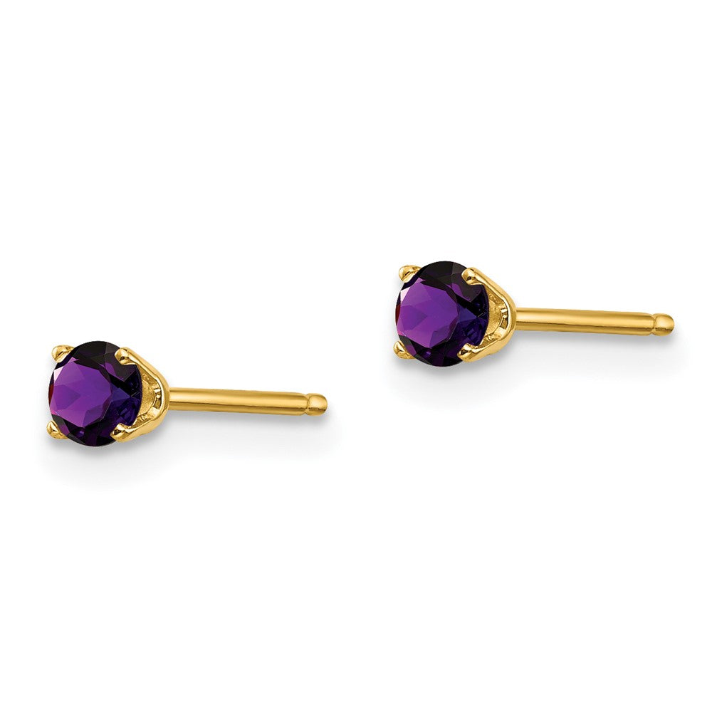 14k Round February/Amethyst Post Earrings