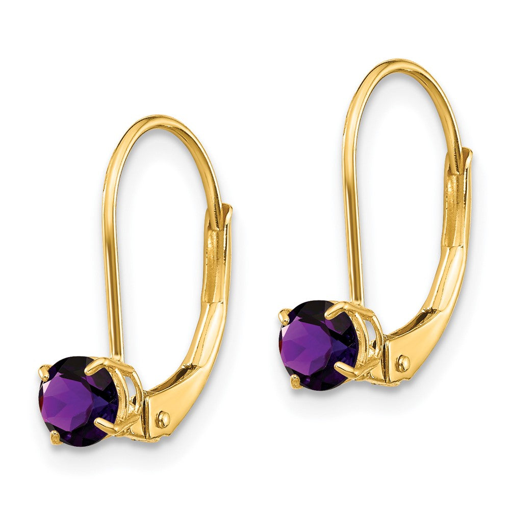 14k Round February/Amethyst Leverback Earrings