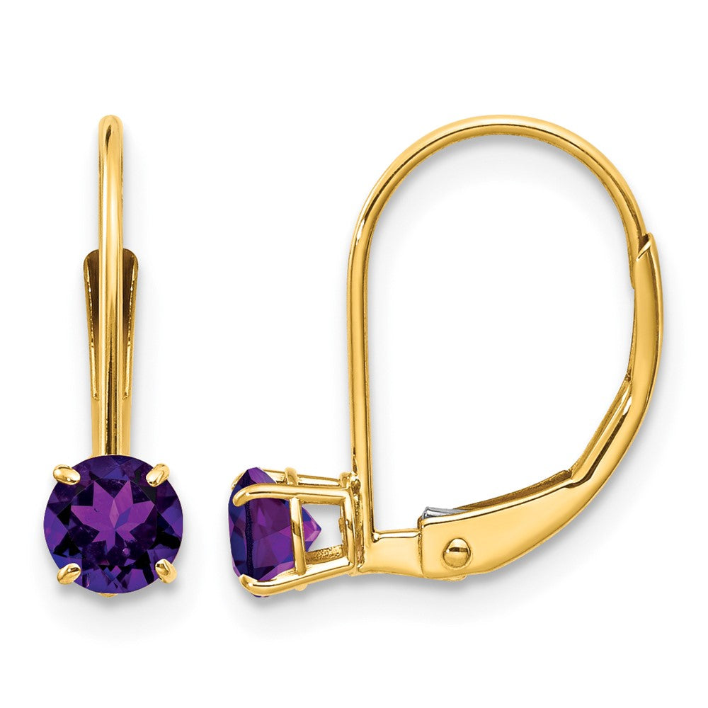 14k Round February/Amethyst Leverback Earrings