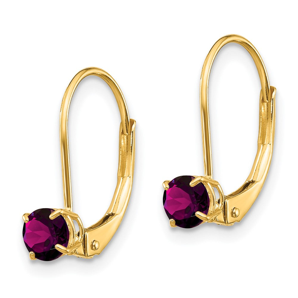14k Round June/Rhodolite Garnet Leverback Earrings