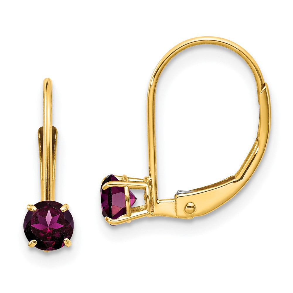 14k Round June/Rhodolite Leverback Earrings