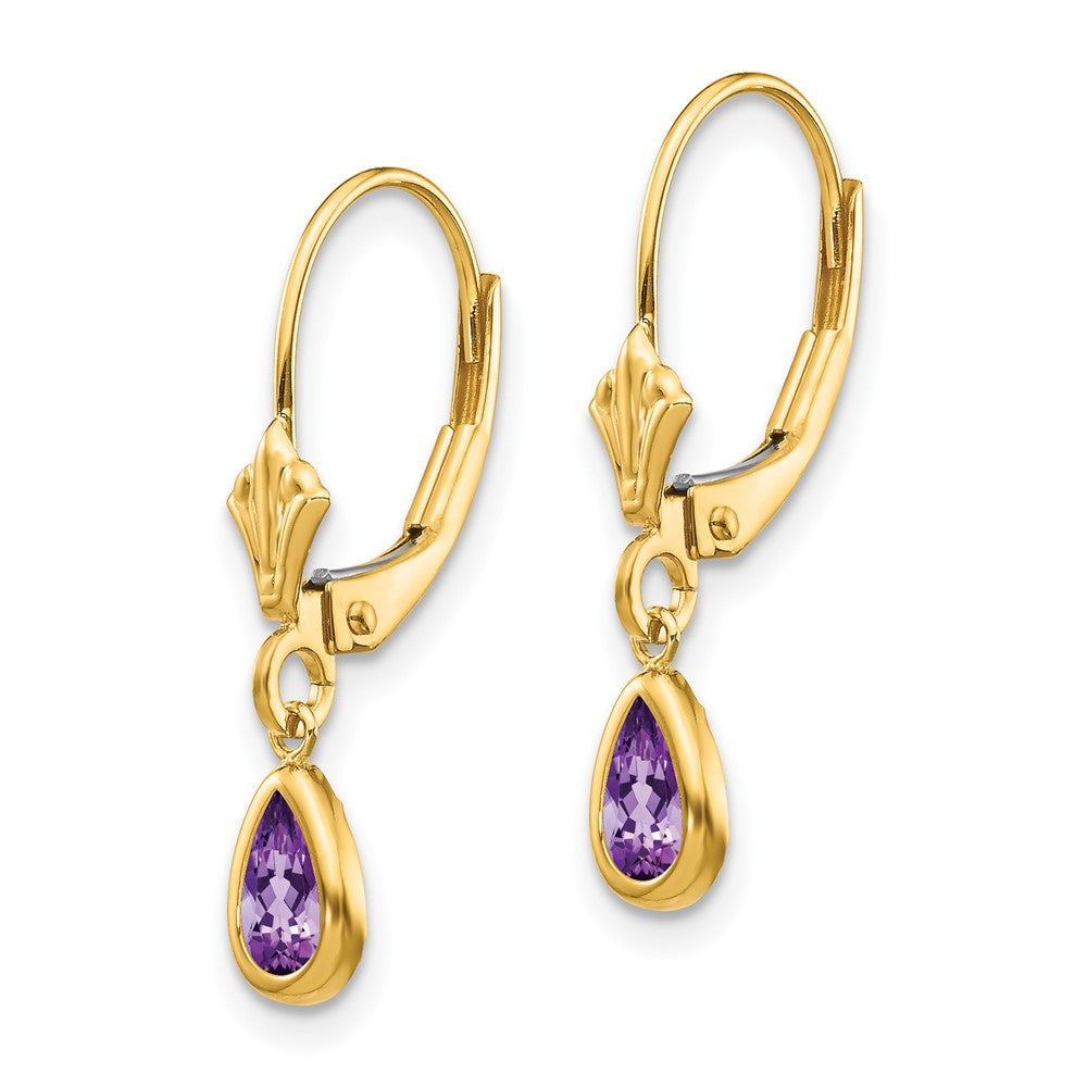 14k 6x Pear Bezel February/Amethyst Leverback Earrings