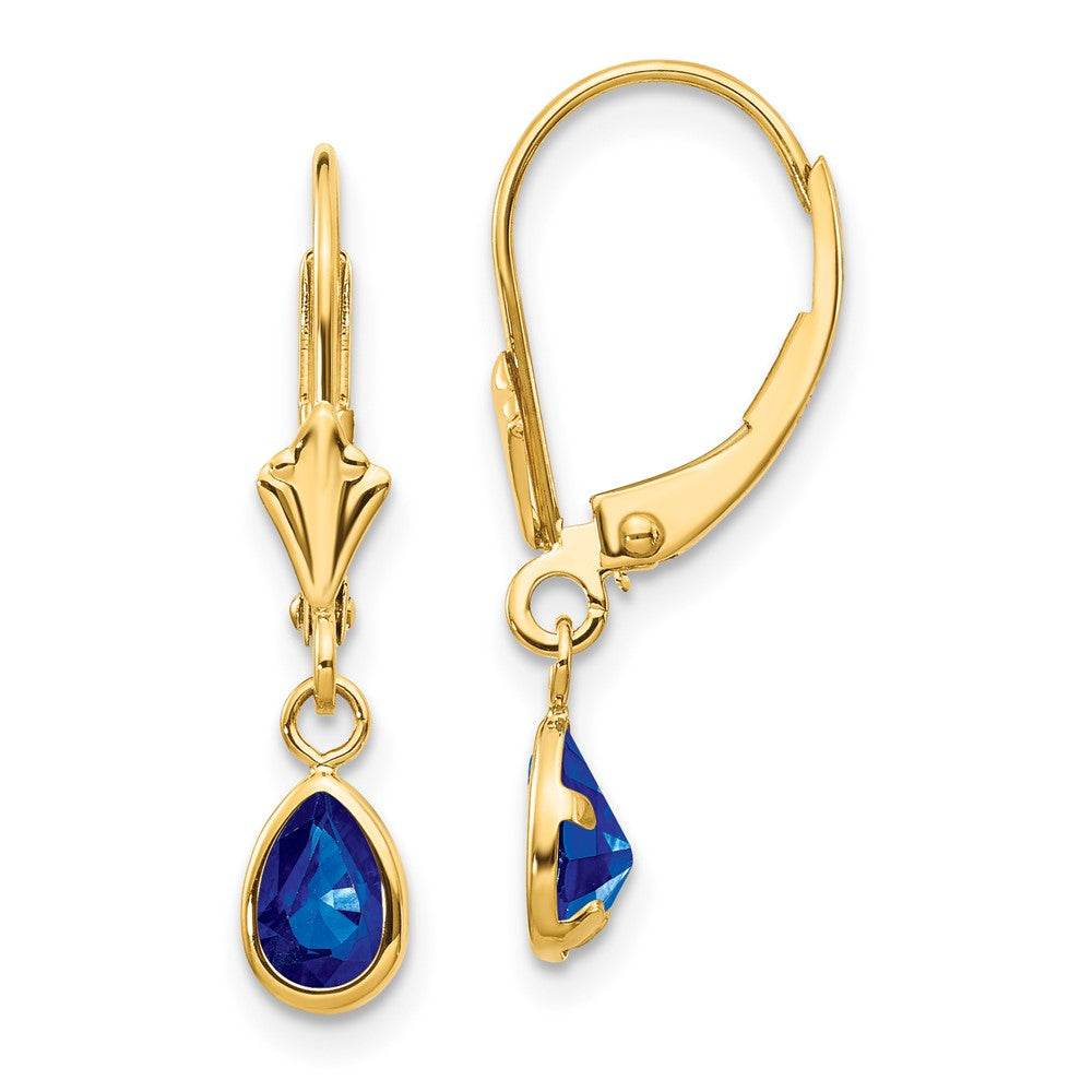 14k 6x September/Sapphire Earrings