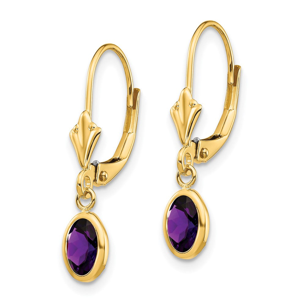14k 6x February/Amethyst Earrings