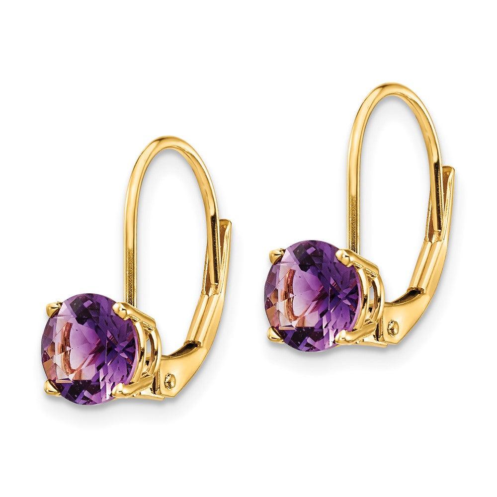 14k Round Amethyst Leverback Earrings