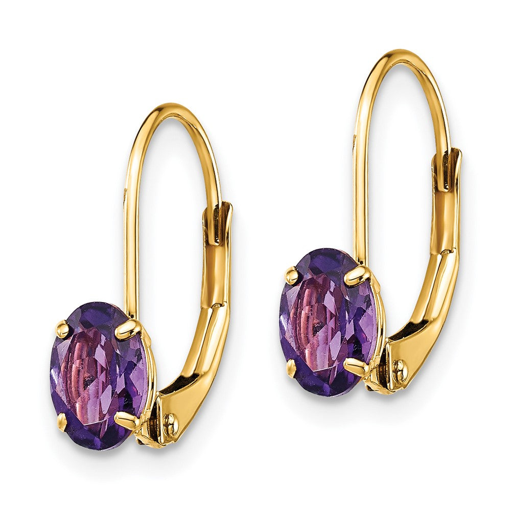 14k 6x Oval Amethyst Leverback Earrings