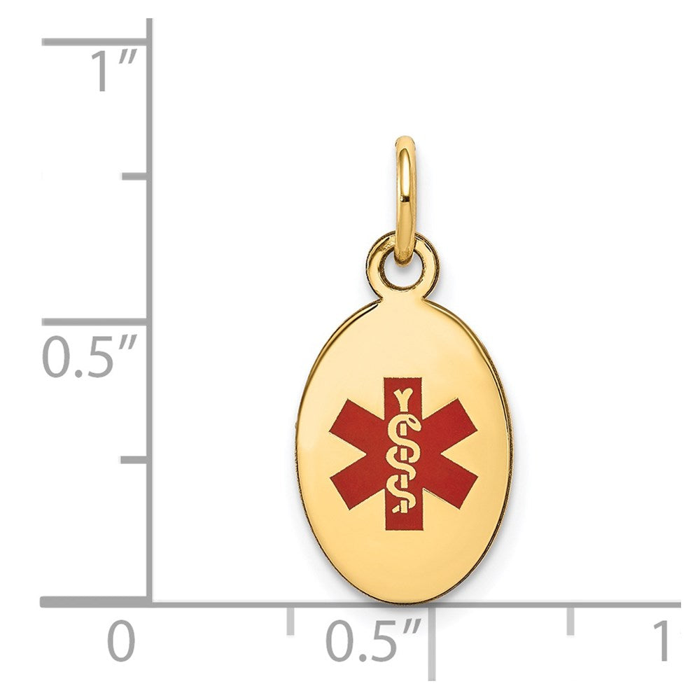 14k Polished Enamel Medical Jewelry Pendant