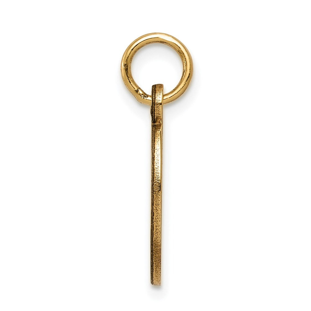 14k 16x Oval Non-enameled Medical Jewelry Pendant