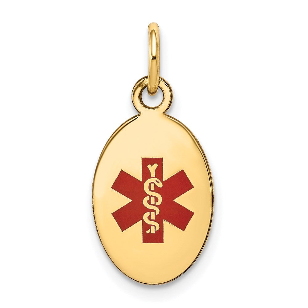 14k Polished Enamel Medical Jewelry Pendant