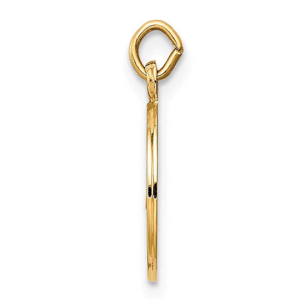 14K Polished and Satin Solid Caridad Del Cobre Medal Round Charm
