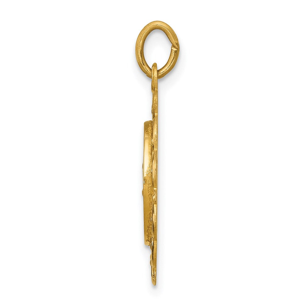 14k Polished and Satin Solid Our Lady of Fatima Medal Scalloped Edge Round Pendant