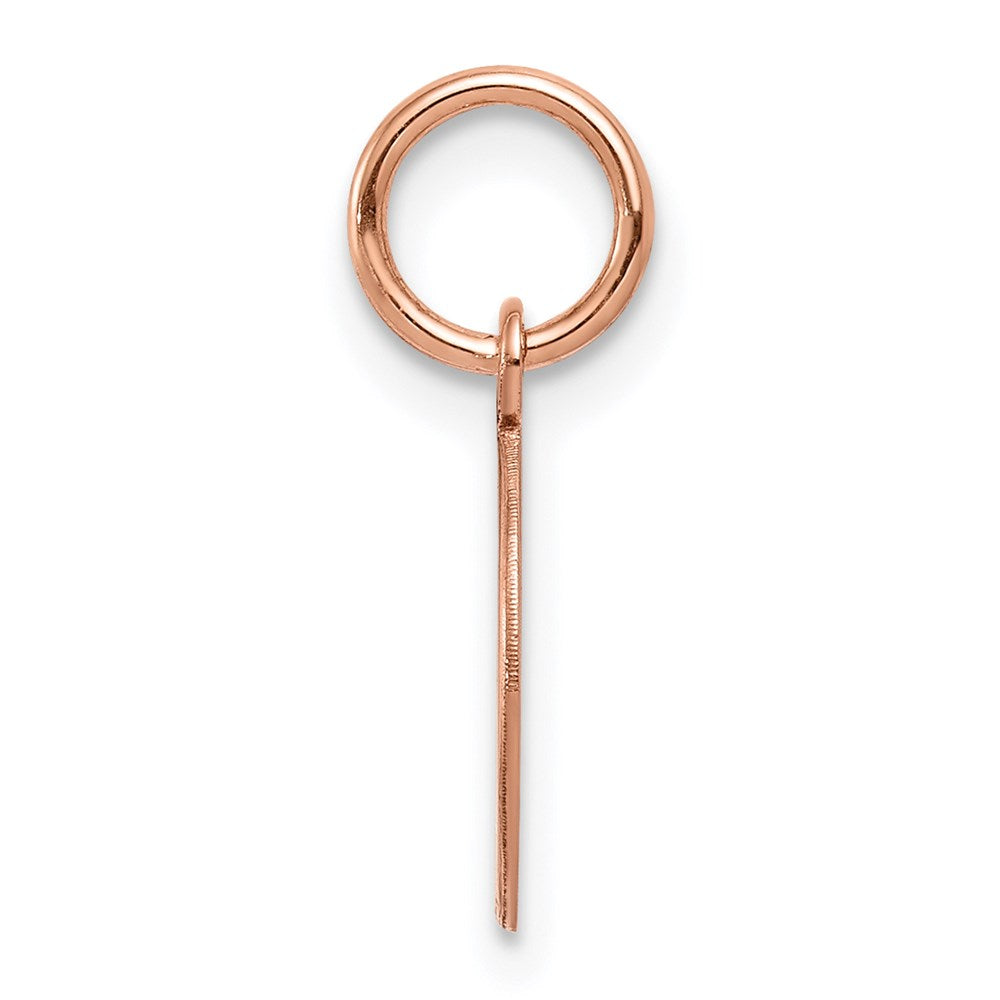 14k Rose Gold Plain .013 Gauge Circular Engraveable Disc Charm