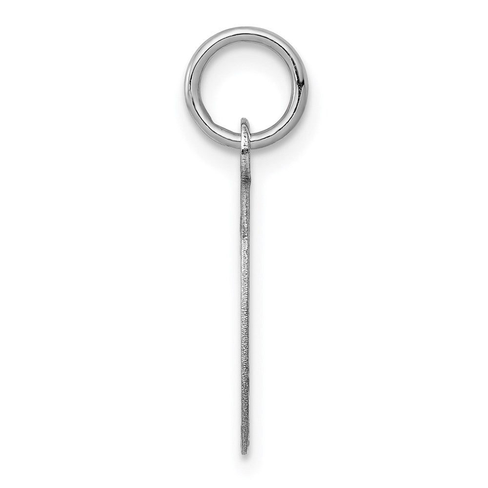 14k White Gold Plain 13.4x .027 Gauge Oval Engravable Disc Charm