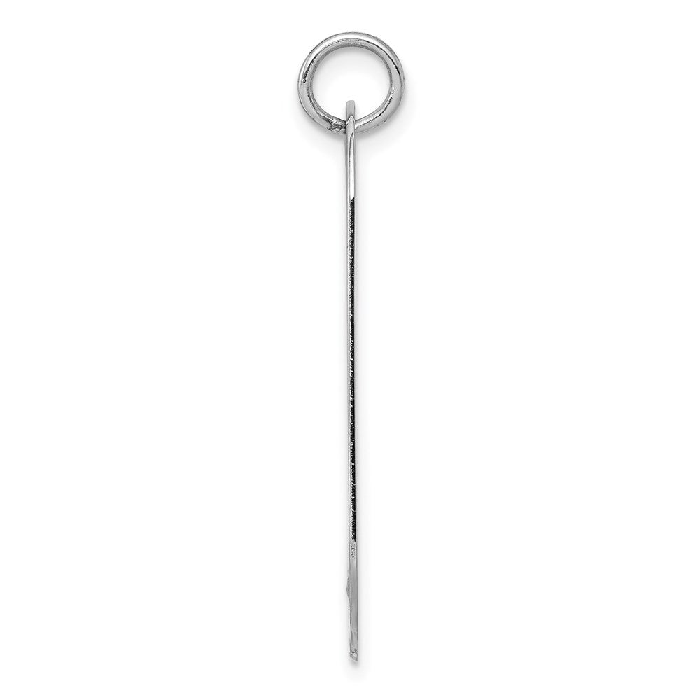 14k White Gold Plain .013 Gauge Engravable 30x Dog Tag with Notch Disc Charm